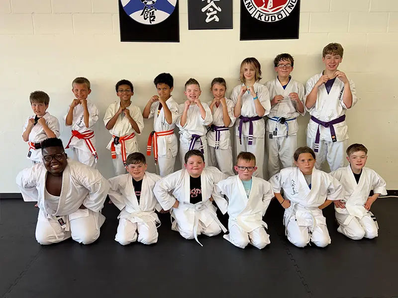 Shinka Dojo logo